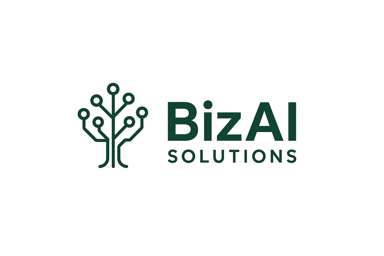 BizAI Solutions